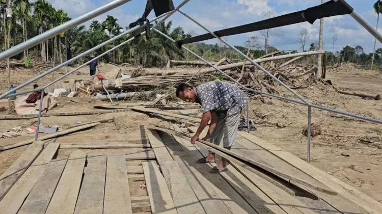 Tanpa Kepastian Bantuan, Warga Sijudo Aceh Timur Bangun Huntara dari Kayu Sisa Banjir