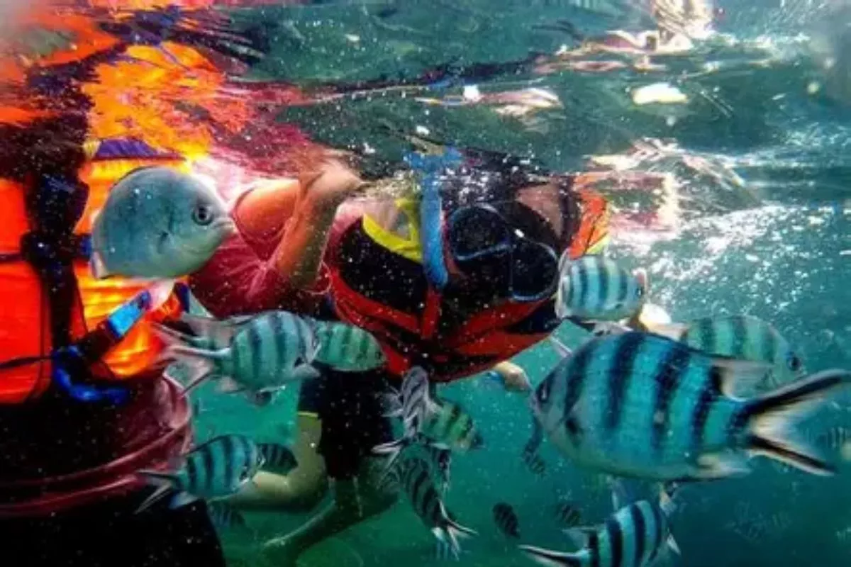 Snorkeling di Bangka Belitung, 6 Spot Laut Jernih nan Memikat