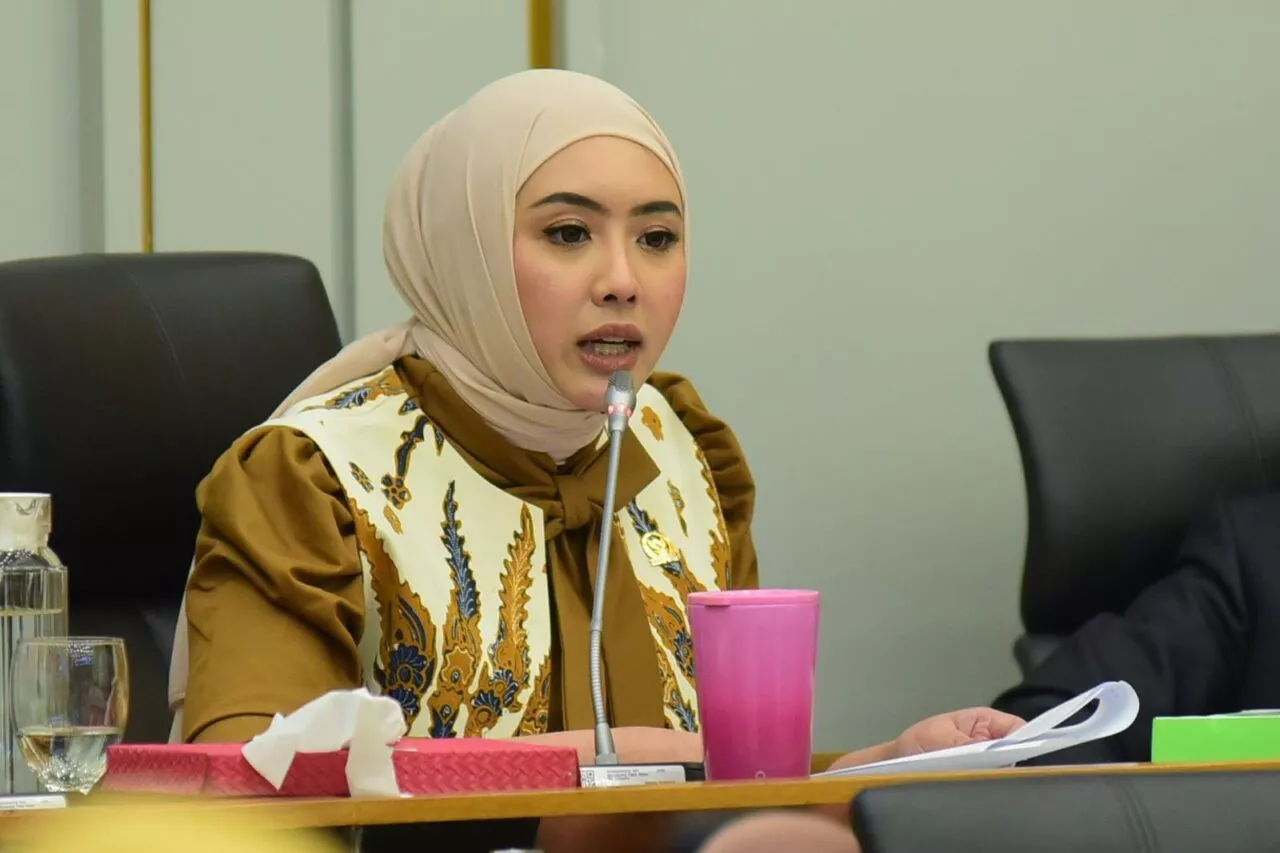 Cindy Monica Desak Pemerintah Segera Realisasikan Pemulihan TKD Sumatera Barat