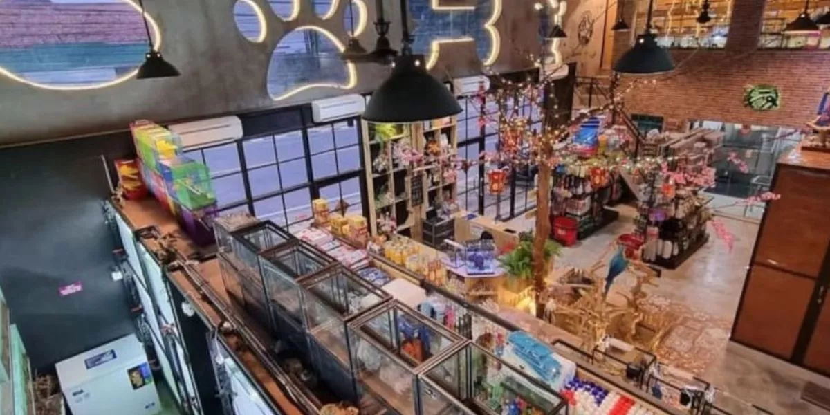 Simulasi Modal Usaha Pet Shop Pemula dan Estimasi Untungnya