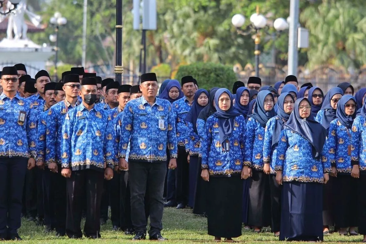 Ini Cara Cek Pengumuman CPNS Pemprov Bengkulu Tahun 2026, Lolos kah?