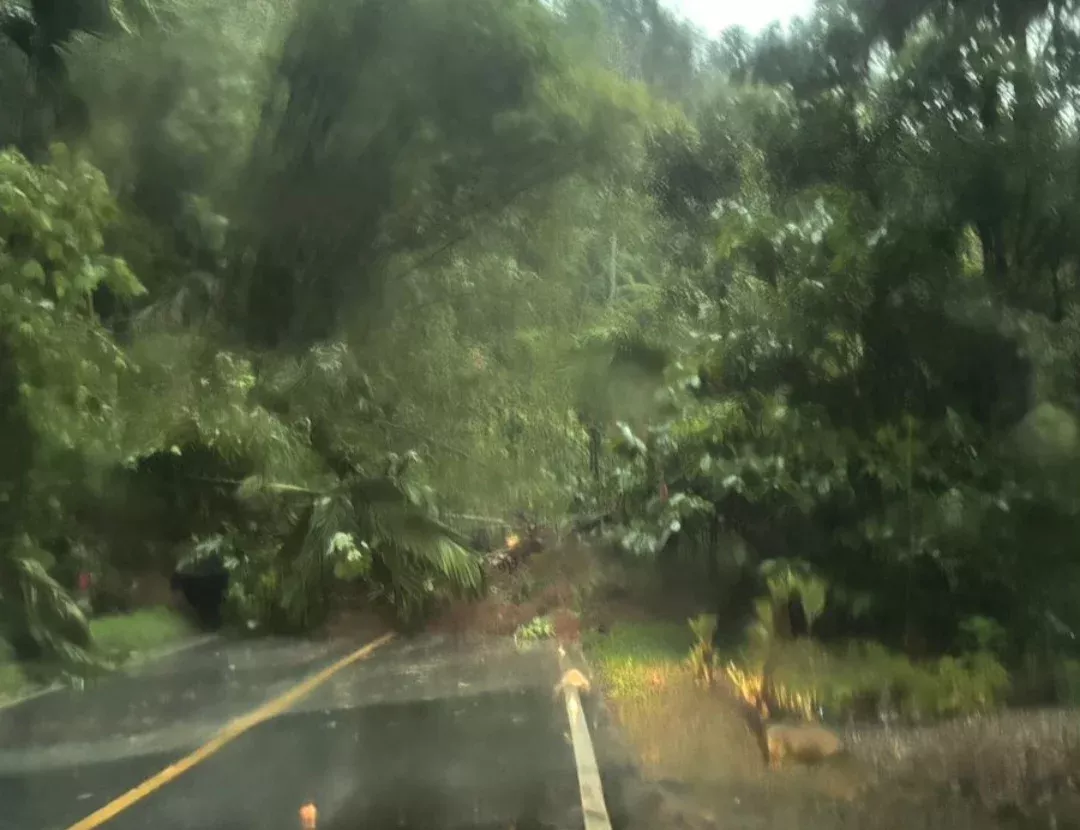 Akses Bukittinggi Menuju Medan Lumpuh, Kendaraan Antre Akibat Longsor di Nagari Nan Limo