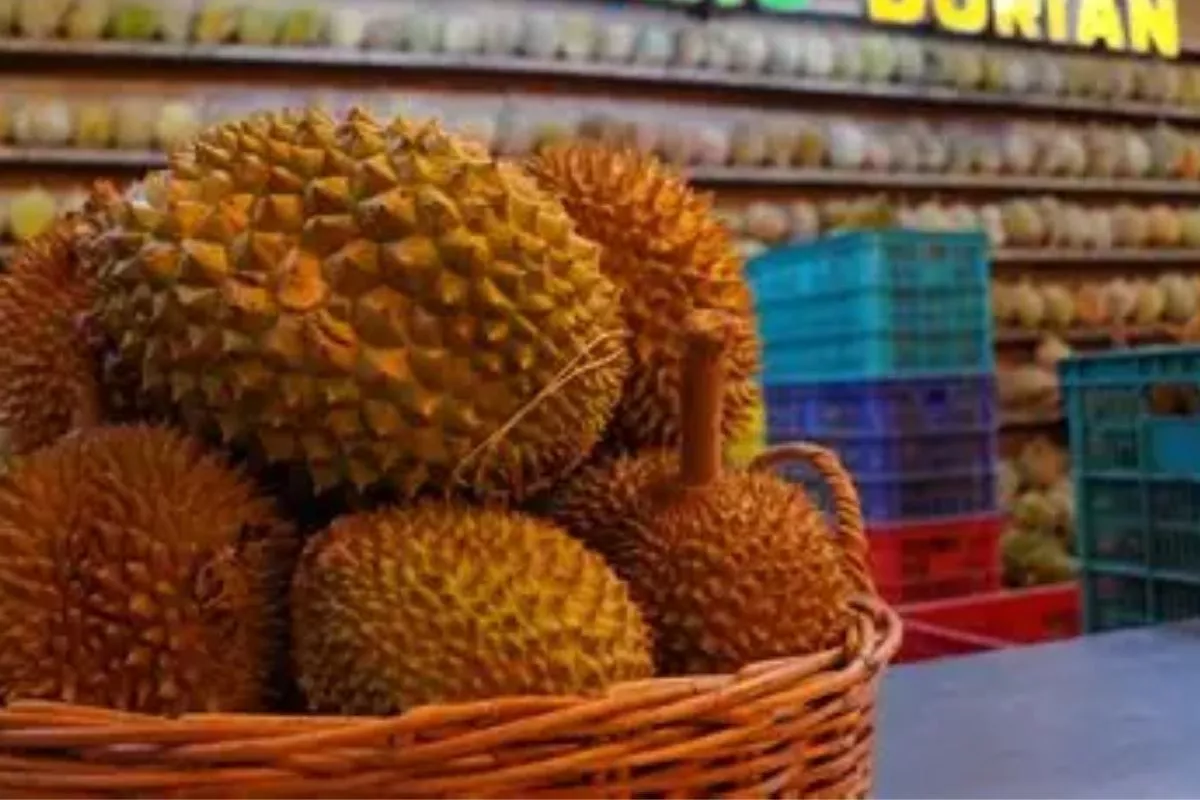 Rekomendasi Tempat Durian Terenak di Medan, Wajib Dikunjungi