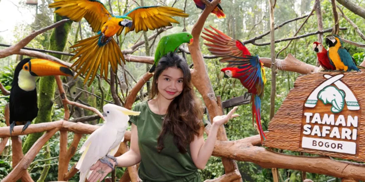 Wisata Sejuk Bogor Jadi Pelarian Favorit Warga Ibu Kota