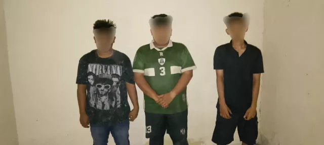 Mobil L300 dan Senjata Tajam Disita, Tiga Pemuda Sindikat Pencuri Ternak Tertangkap