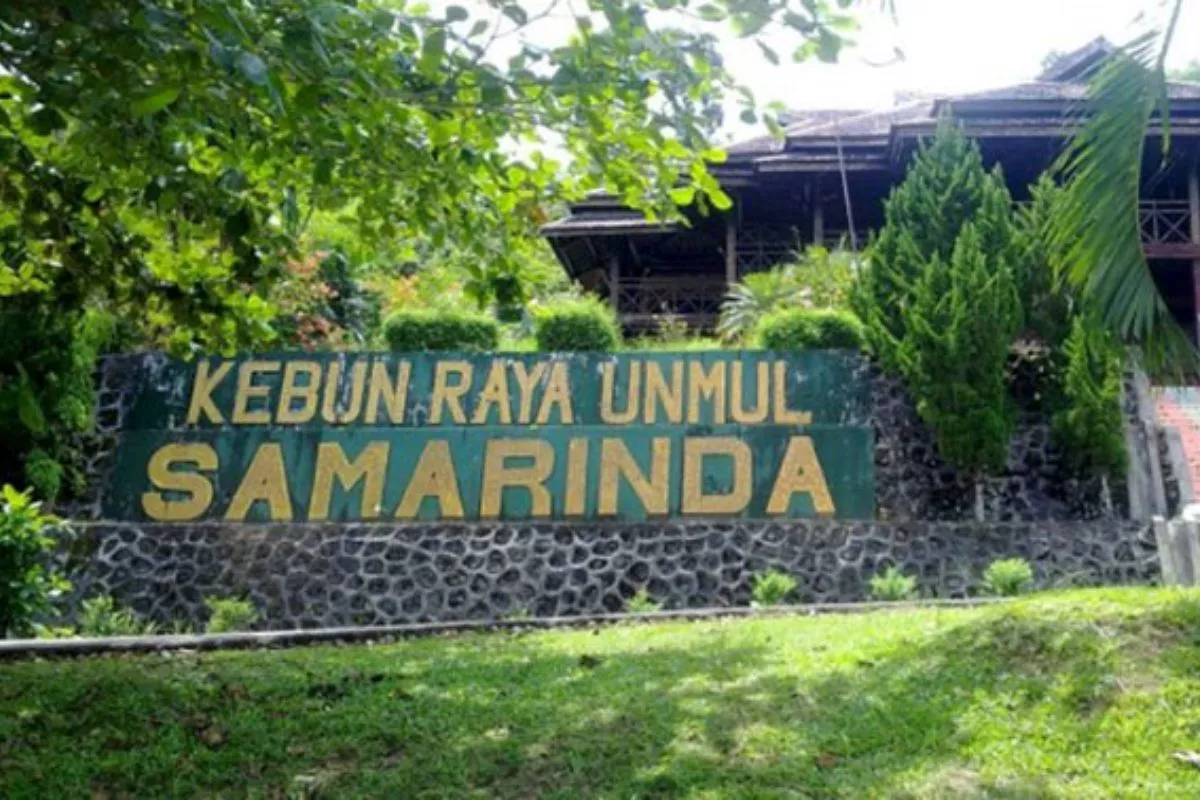 Harga Tiket Masuk Kebun Raya Unmul Samarinda Terbaru