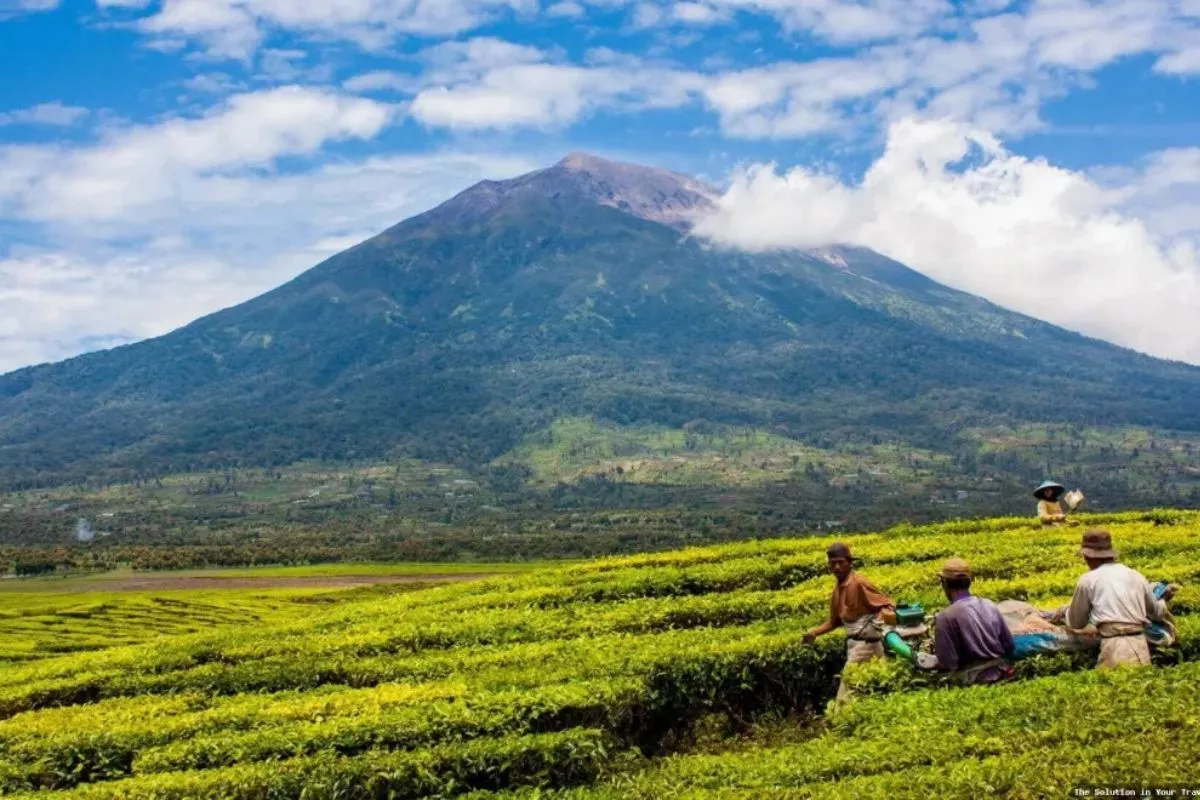 Panduan Pendakian Gunung Kerinci untuk Pemula: Persiapan Fisik dan Perlengkapan