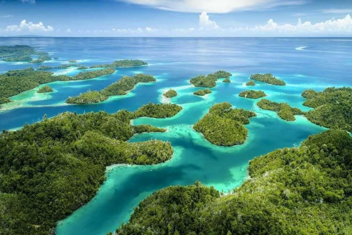 Kepulauan Togean, Surga Bawah Laut dengan Danau Ubur-Ubur Tak Menyengat