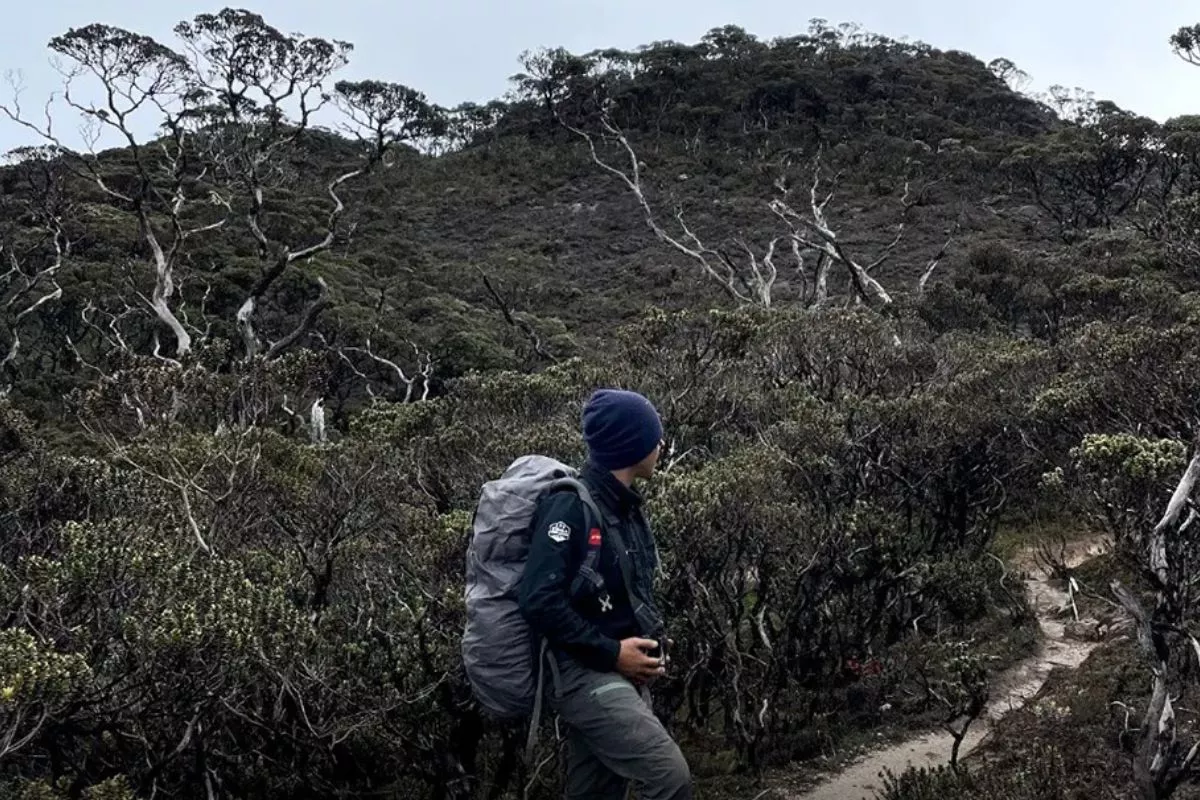 Tips Aman Mendaki Gunung Latimojong bagi Pendaki Pemula