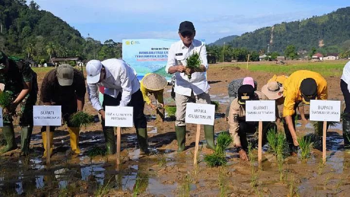 Pemprov Sumut Mulai Pemulihan 37.318 Ha Sawah Terdampak Bencana