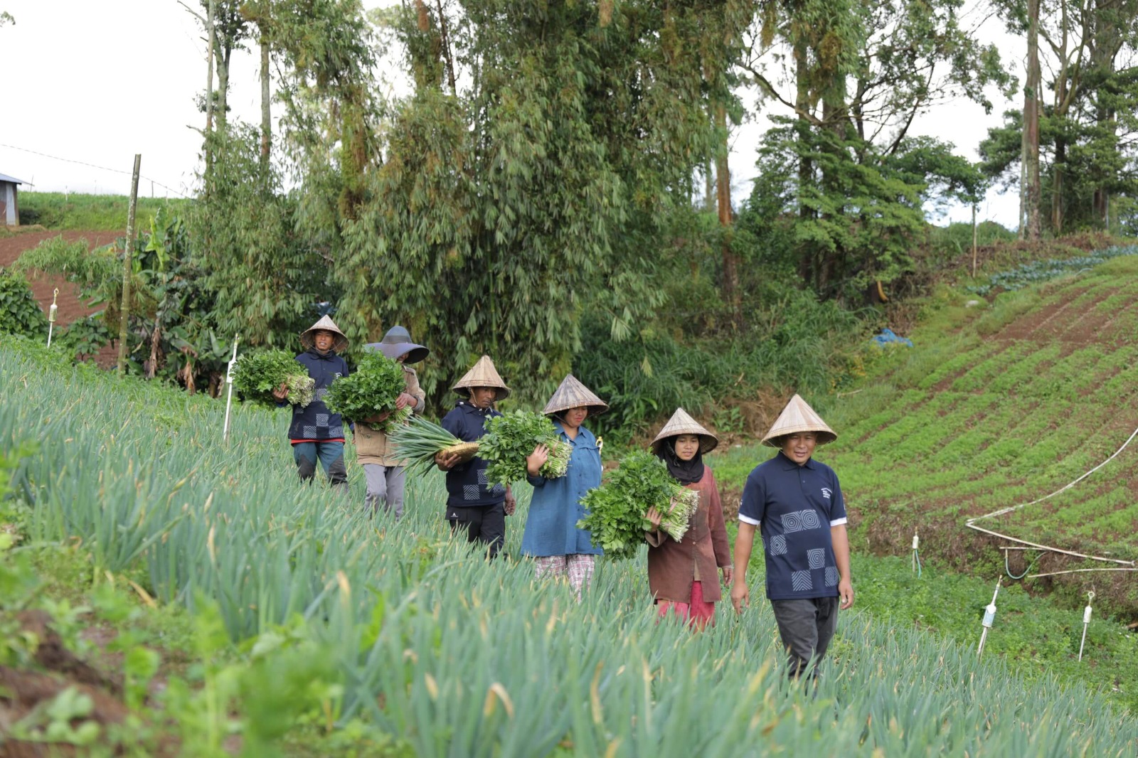PT Astra International Tbk Dukung Sedekah Sayur dari Desa Binaan Kanreapia untuk 100 Panti Asuhan